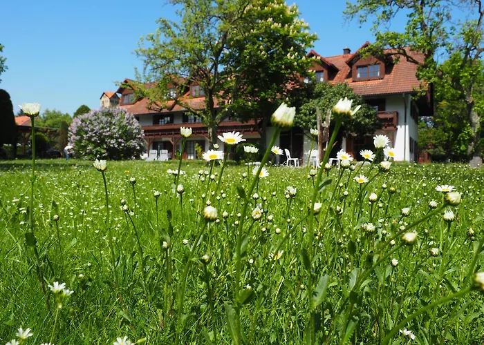 Aufeld بيت ضيافة